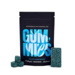 Euphoria Psychedelics – Grape Gummy 1000mg