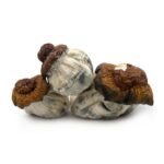 Wonder – Psilocybin Gummies – Blackberry 3g Wonder – Psilocybin Gummies – Blackberry 3g