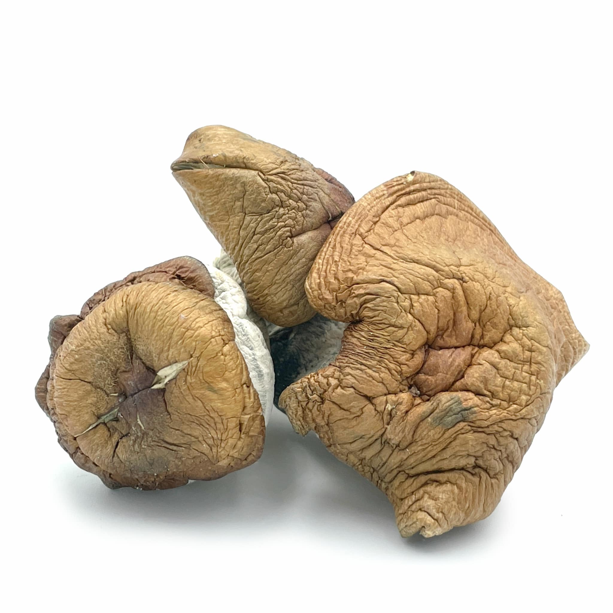 King Kong King Kong - Image 4