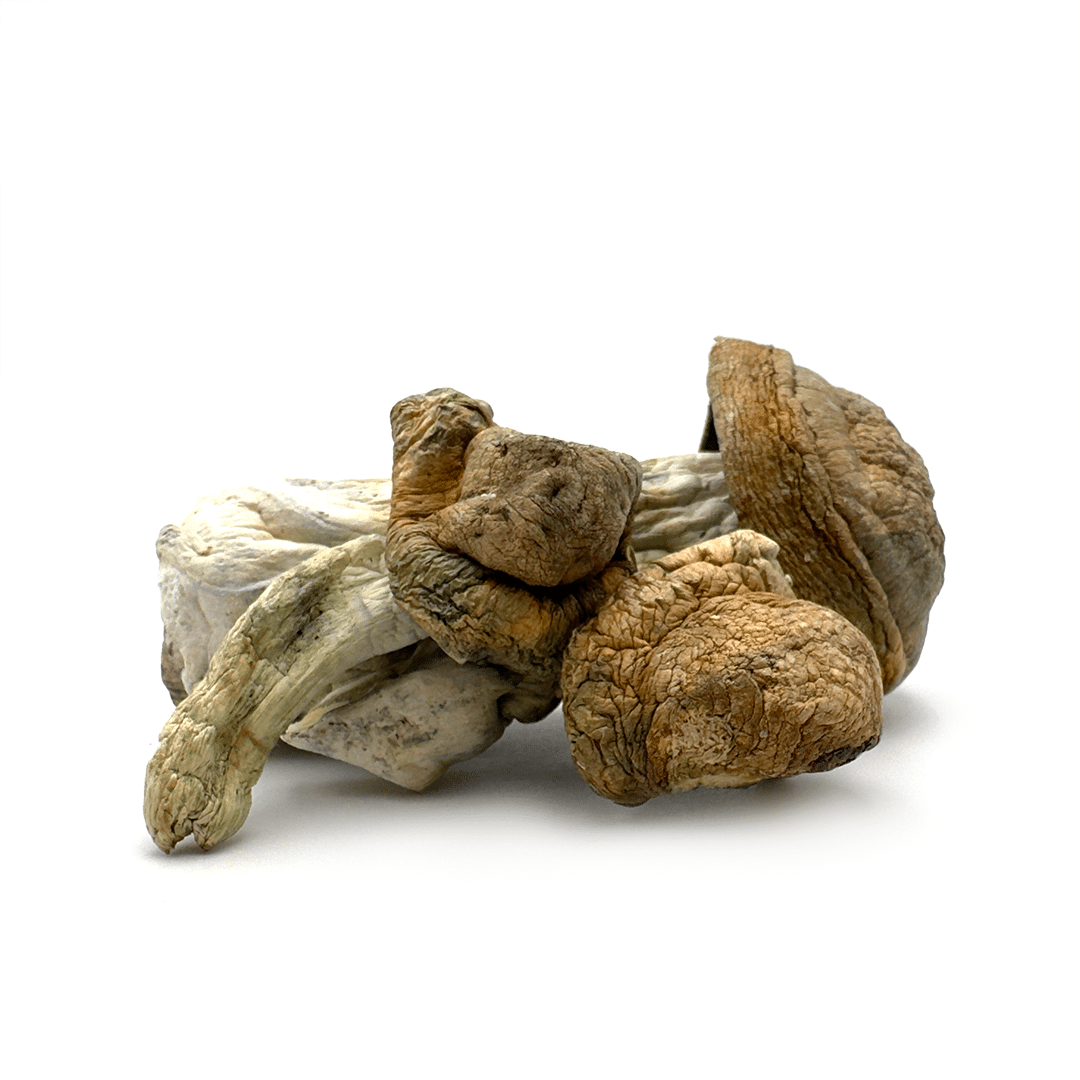 DC Mac DC Mac - Image 2