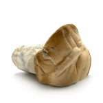 Mastermind – Brain Tech Capsules