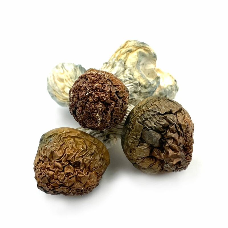 Penis Envy Penis Envy