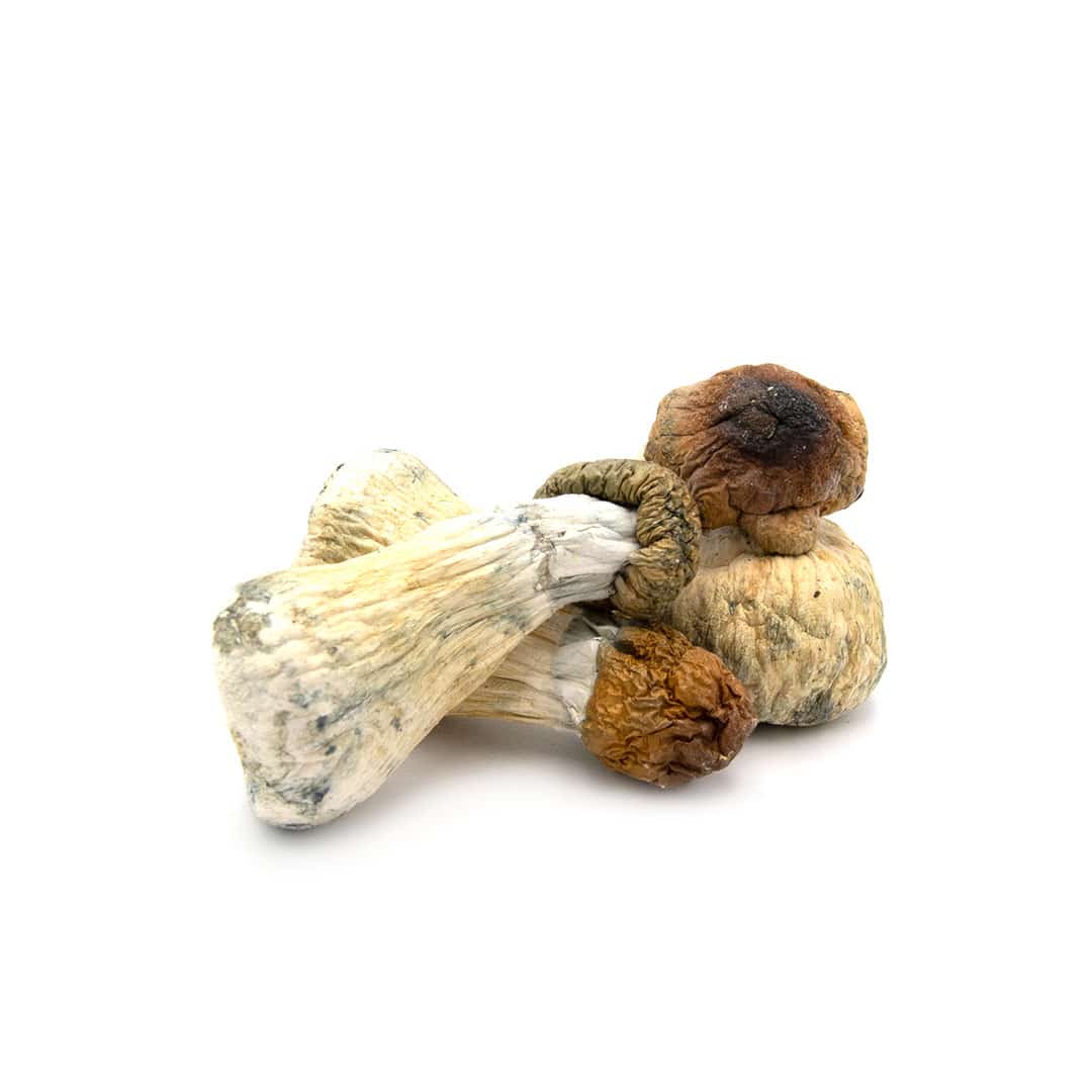 Trinity Trinity - Image 2