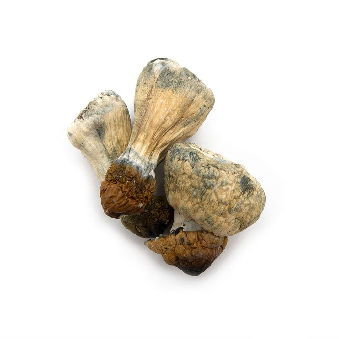 Trinity Trinity - Image 3