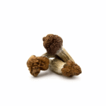 House Psilocybin Extract Chocolate Bar – 1500mg House Psilocybin Extract Chocolate Bar – 1500mg