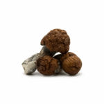 Golden Teacher Golden Teacher