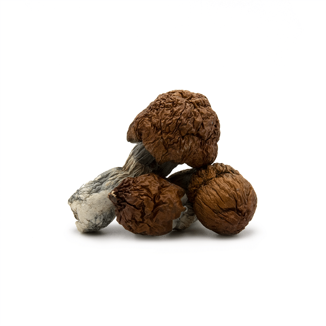 Blue Meanies Blue Meanies