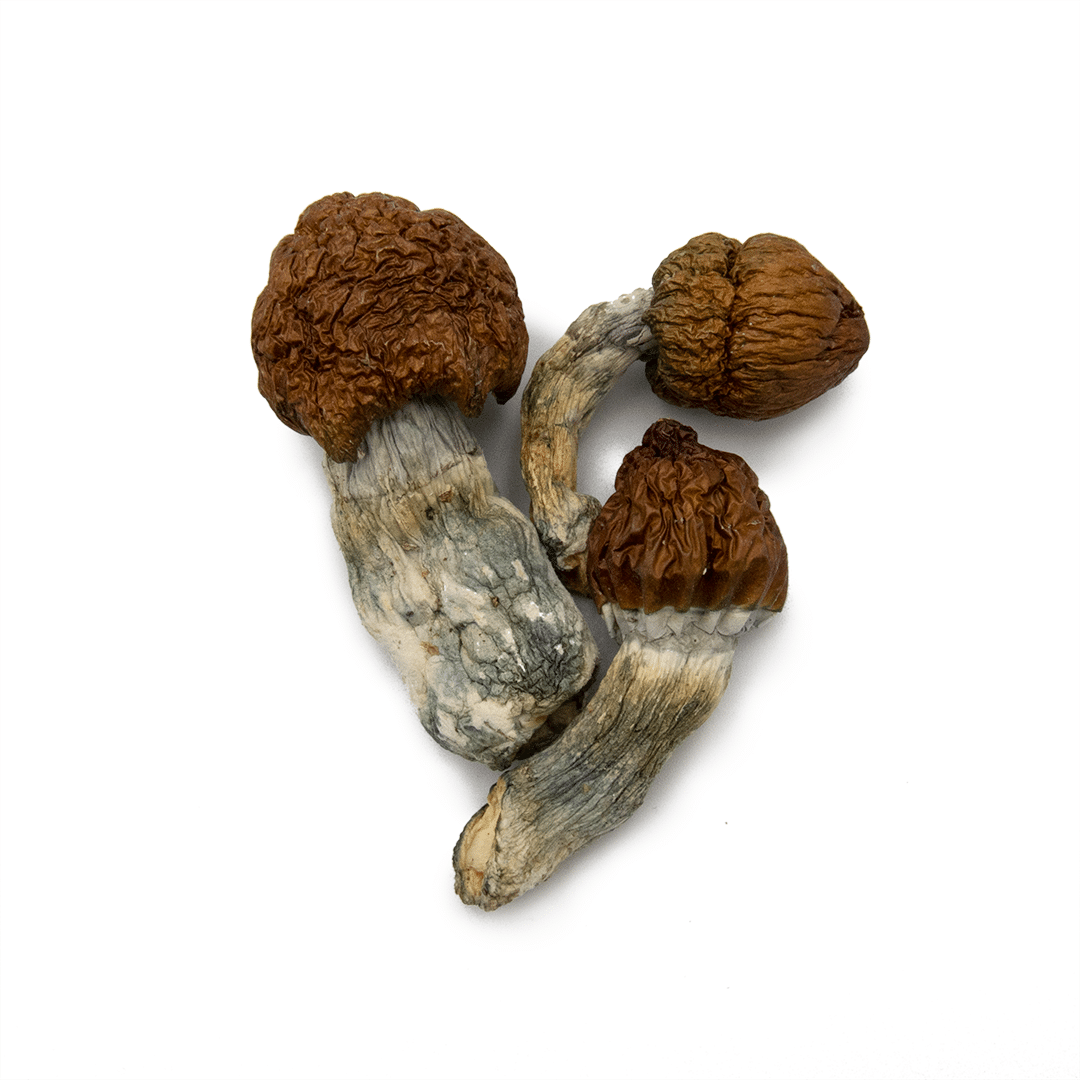 Blue Meanies Blue Meanies - Image 4