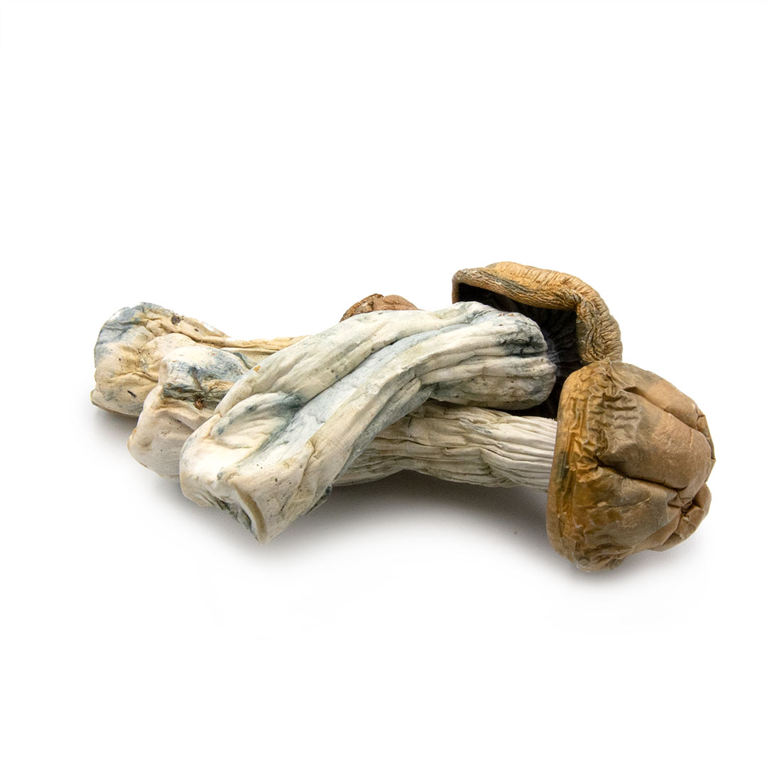 Melmac Melmac - Image 2