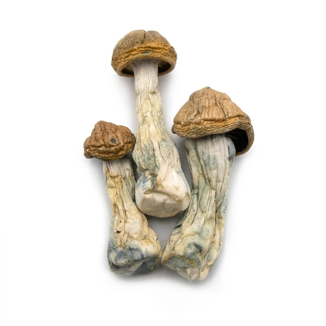 Melmac Melmac - Image 3