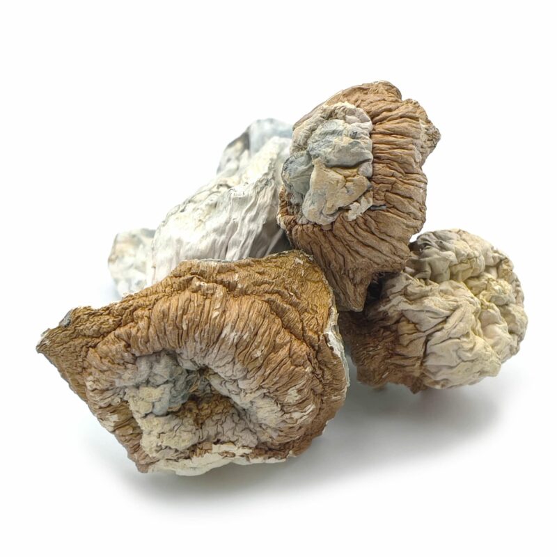 Tidal Wave Tidal Wave